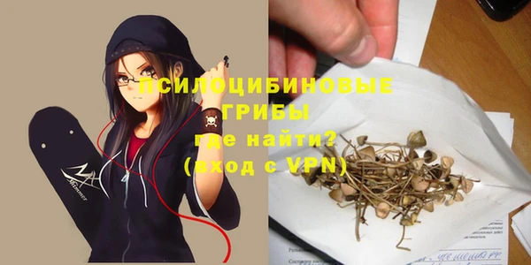 прущий лед Алексин