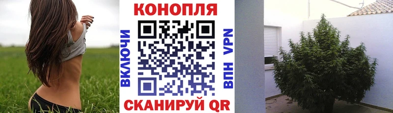 где купить   Нурлат  ссылка на мегу как зайти  Конопля тримм 